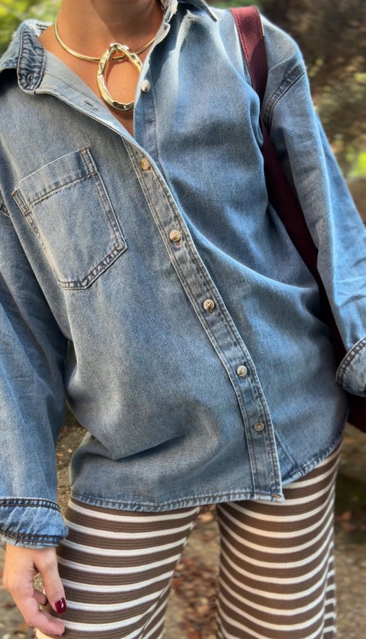 The Essential Denim Botton Down