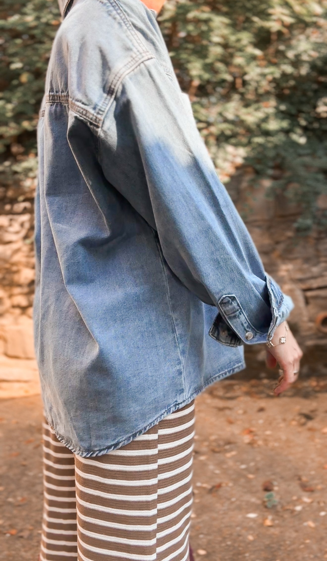 The Essential Denim Botton Down