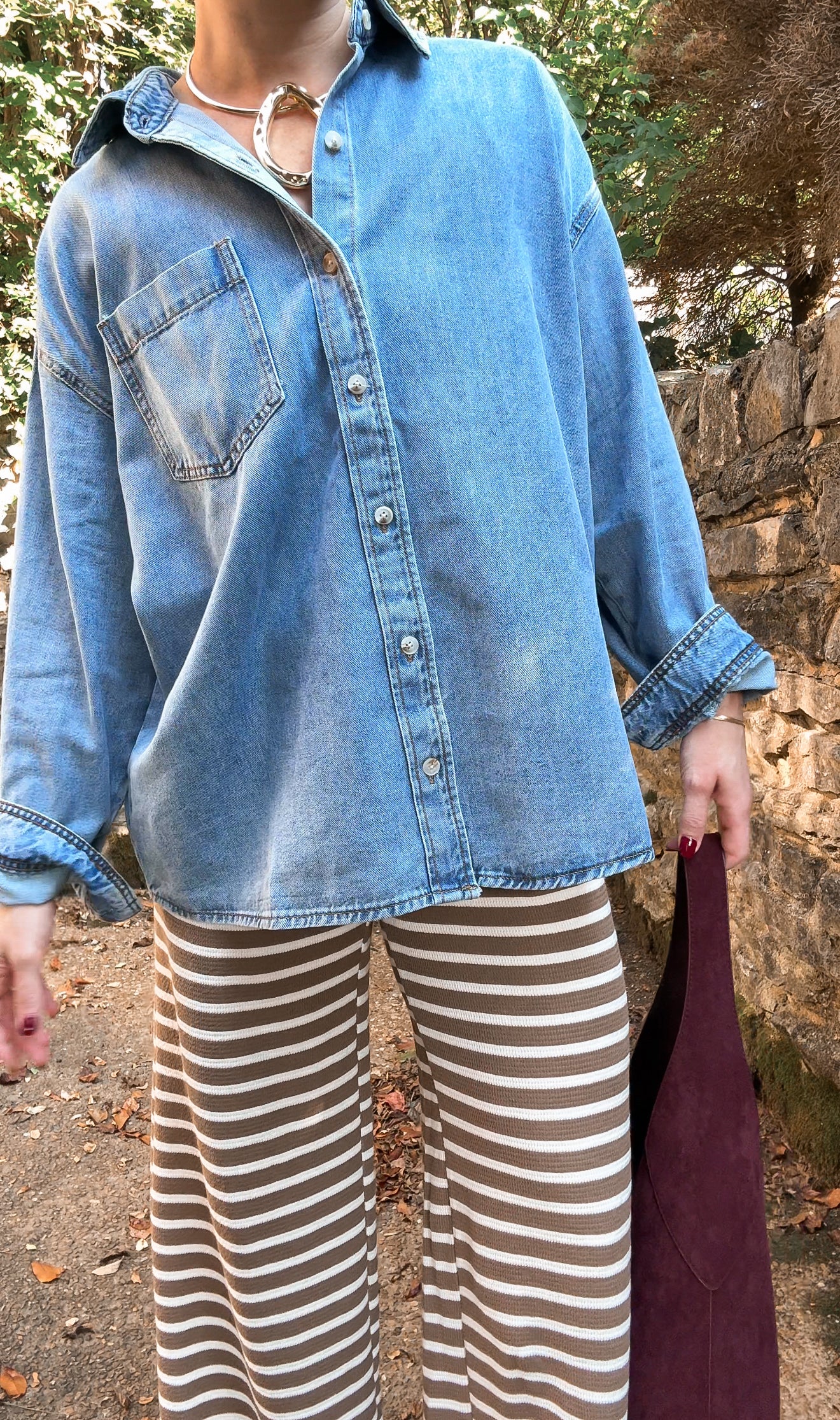 The Essential Denim Botton Down