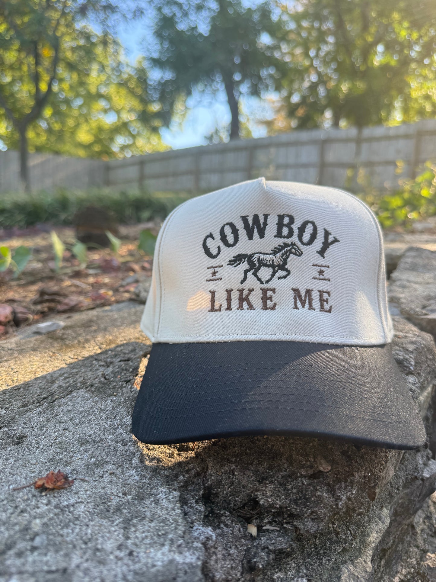 Cowboy Like Me